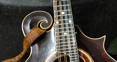 Guitar frets