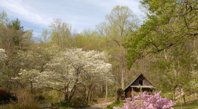 cultural landscape foxfire georgia homestead