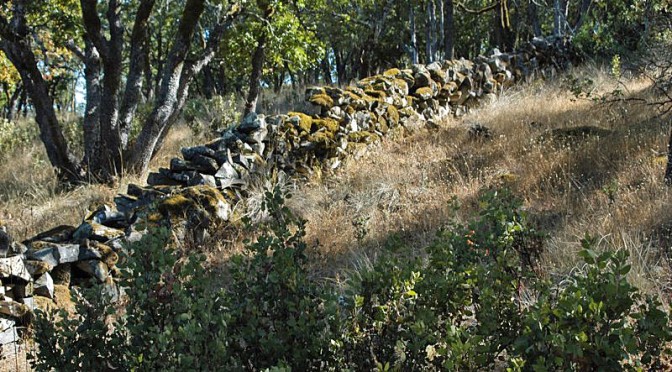crm-linear-view-stonefence-annadel-santa-rosa