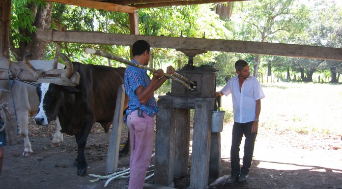 guanacaste traditional sugar processing mill